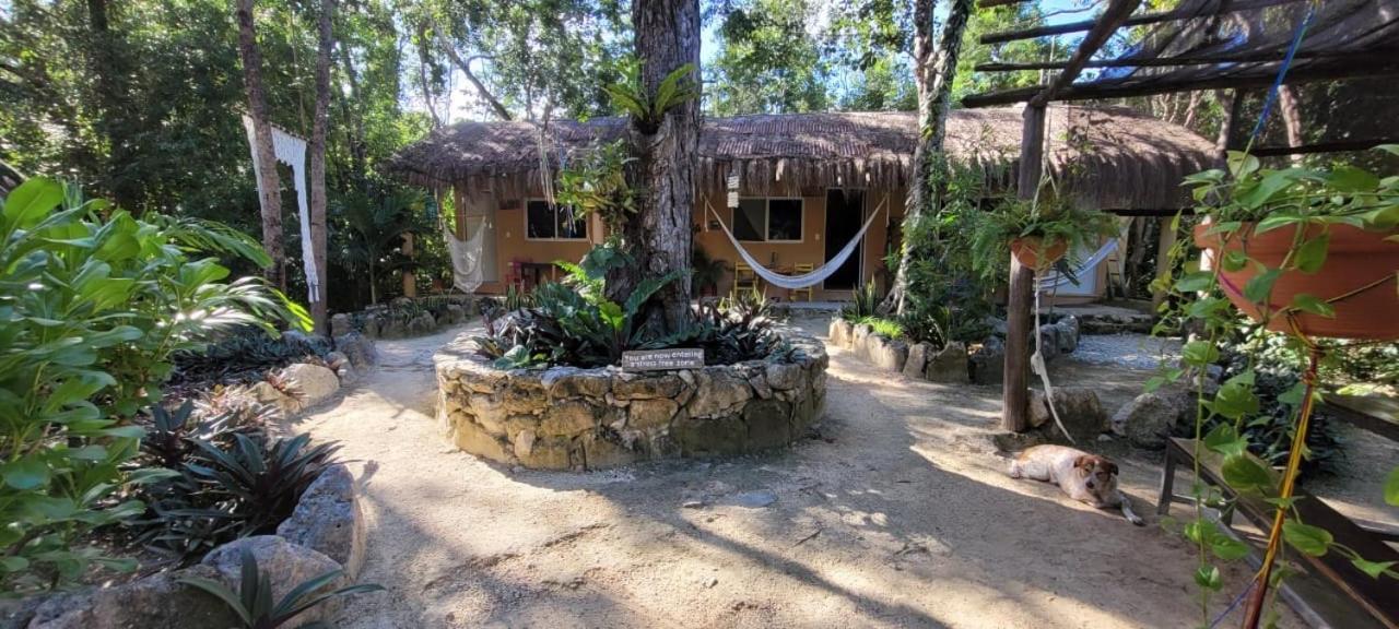 Casa Tzalam Selva 3*