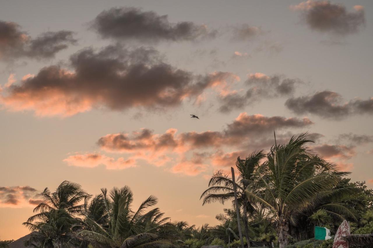 Hotel Playa Esperanza 4*