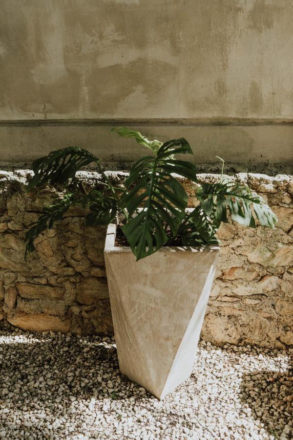 Hotel Casa Chimi Tulum