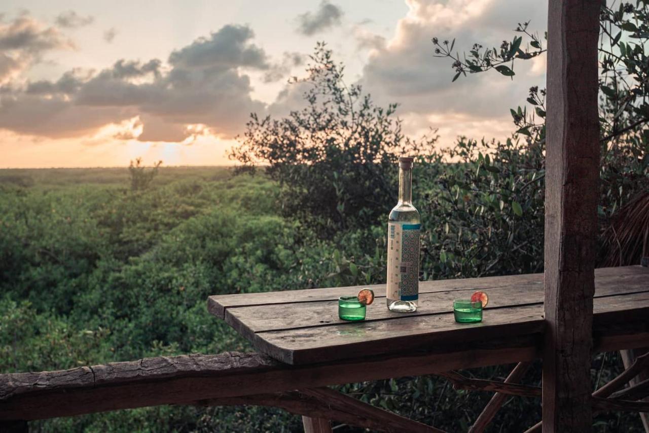 Hidden Treehouse Eco-hotel Hotel