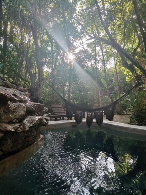 Agua & Selva Luxury Jungle Loft Apartment