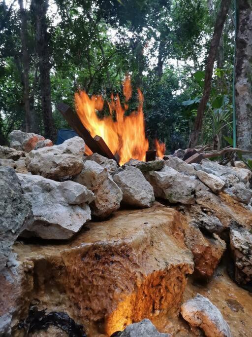 Apartment Agua & Selva Luxury Jungle Loft Tulum