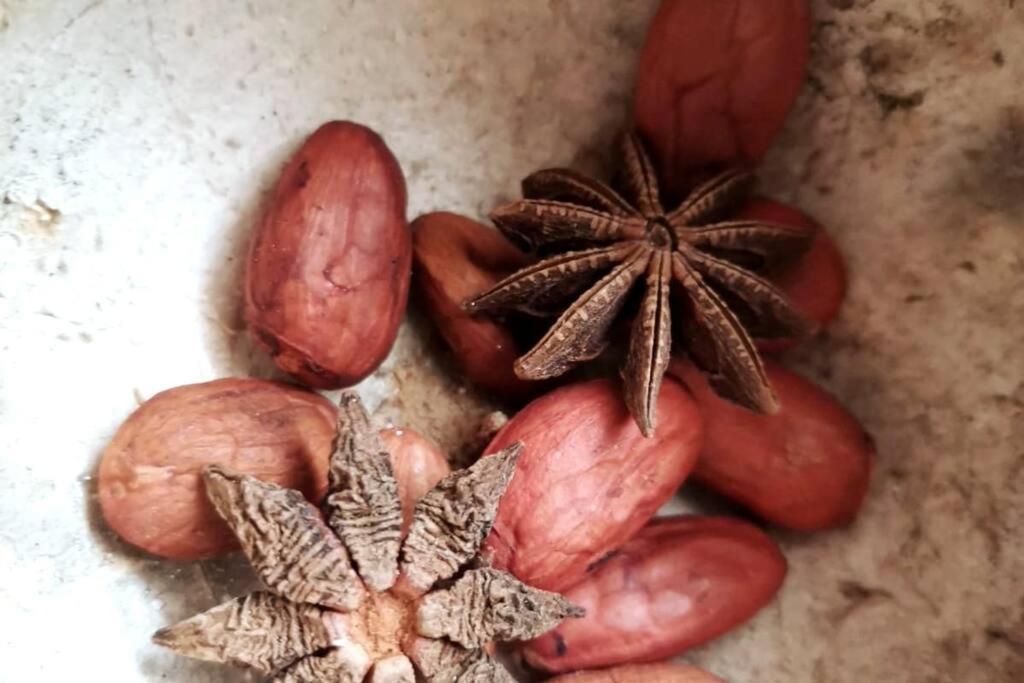 Agua & Selva Luxury Jungle Loft *