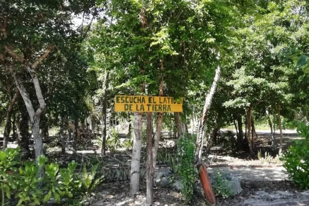 Apartment Agua & Selva Luxury Jungle Loft