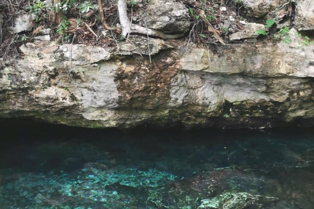 Apartment Agua & Selva Luxury Jungle Loft Tulum