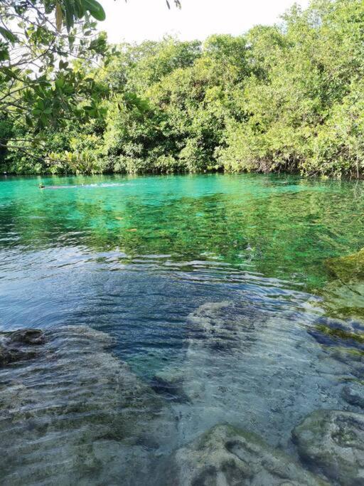 Apartment Agua & Selva Luxury Jungle Loft