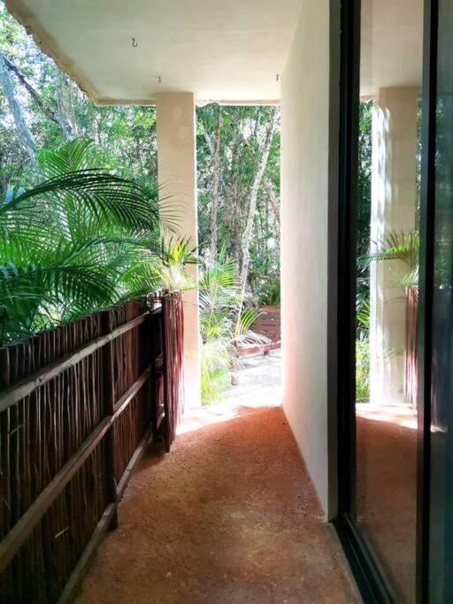 Agua & Selva Luxury Jungle Loft Apartment