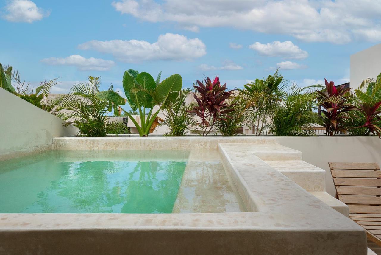 Stylish 2br With Rooftop & Private Pool - La Veleta - A302