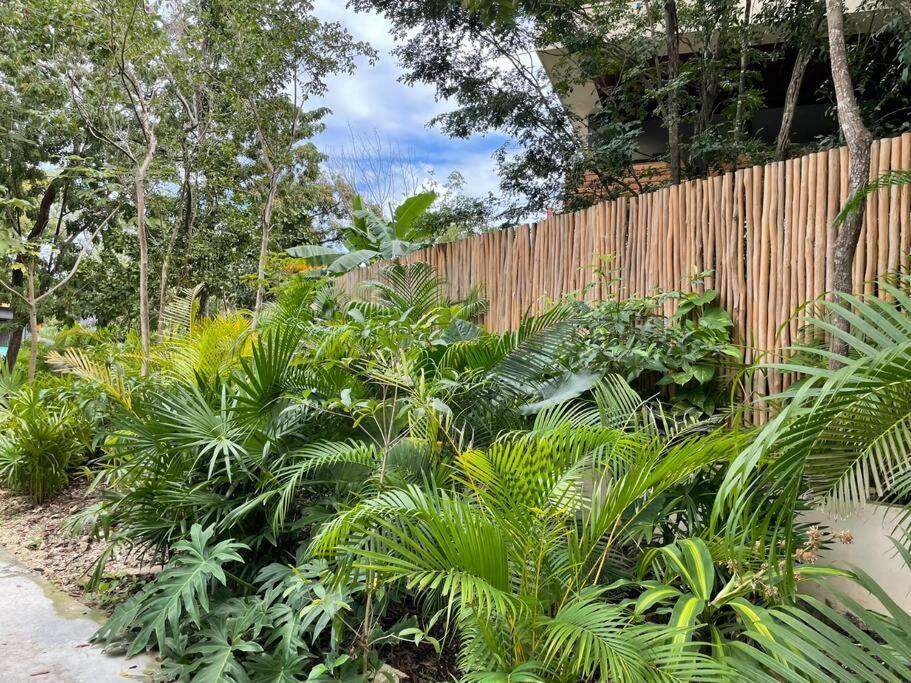 Apartment Casa Mariposa - Private Jungle Luxury In Luum Zama *