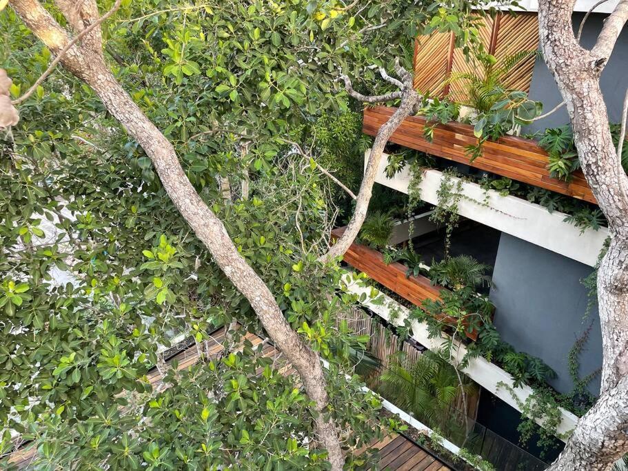 Apartment Casa Mariposa - Private Jungle Luxury In Luum Zama Tulum