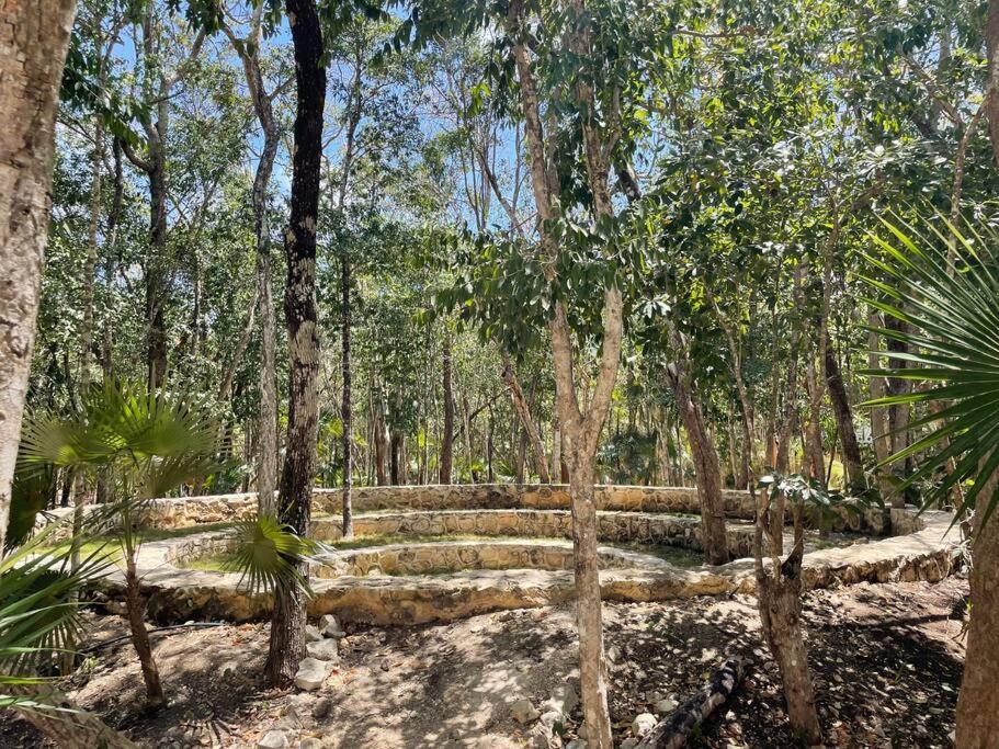 Apartment Casa Mariposa - Private Jungle Luxury In Luum Zama