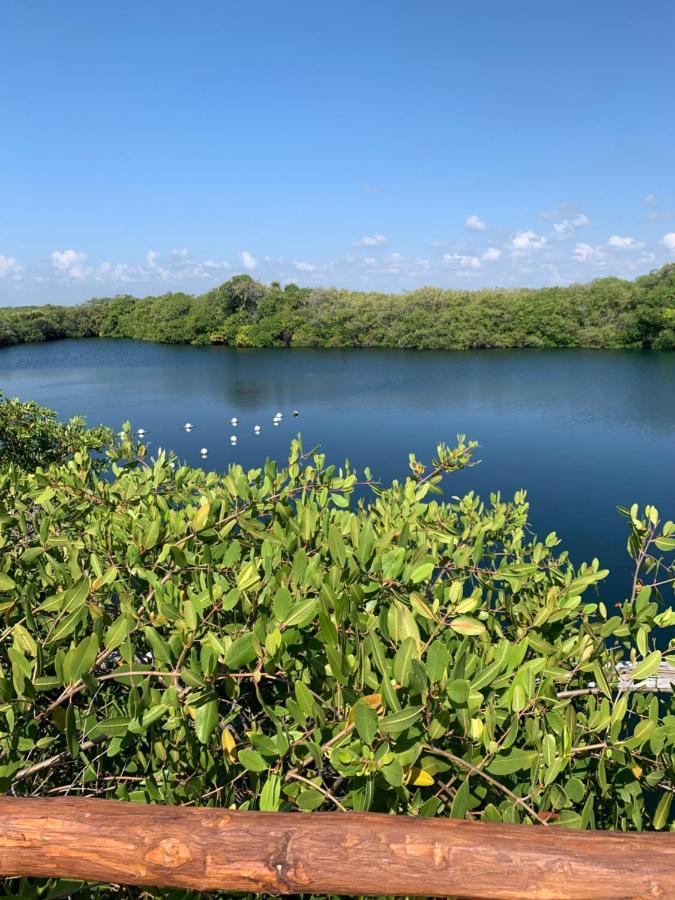 Casa Borush Glamping Fruit & Cenote Experience