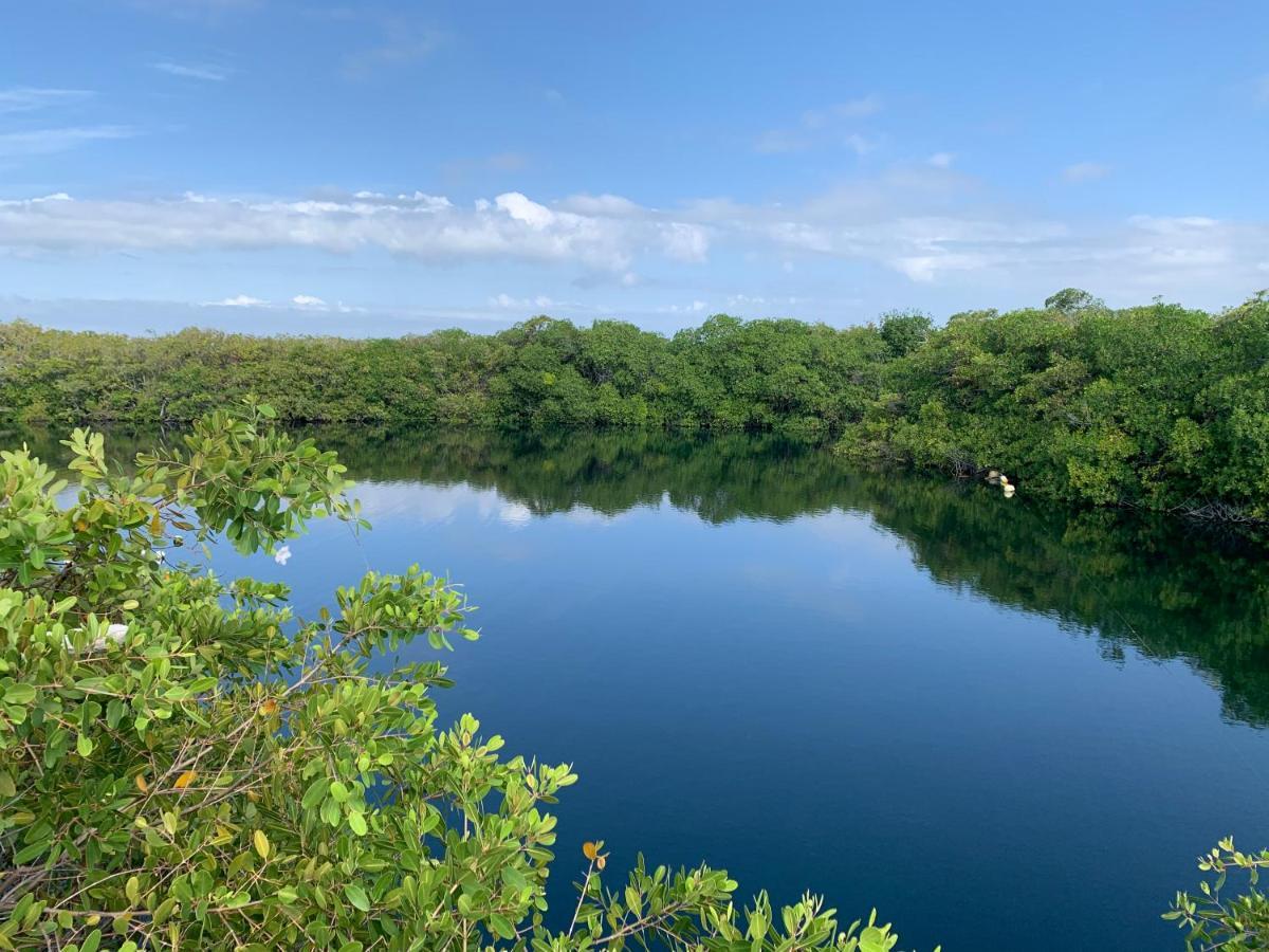 Casa Borush Glamping Fruit & Cenote Experience * Tulum