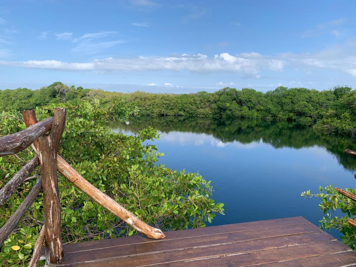 Luxury tent Casa Borush Glamping Fruit & Cenote Experience