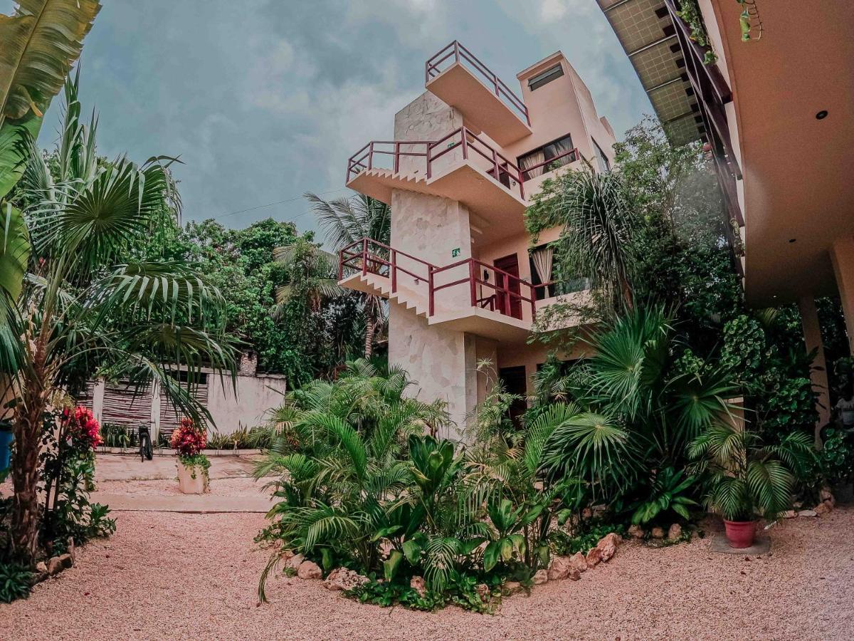Naats Amigos Tulum