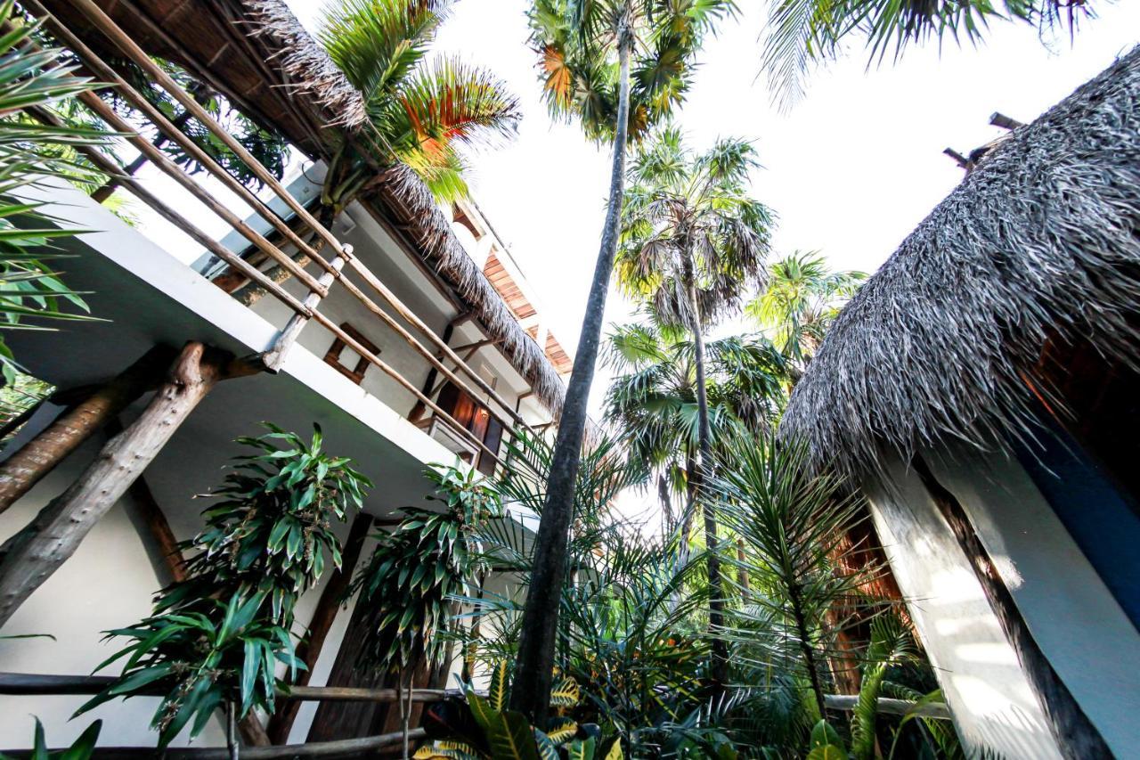Hotel Cormoran & Cenote Tulum