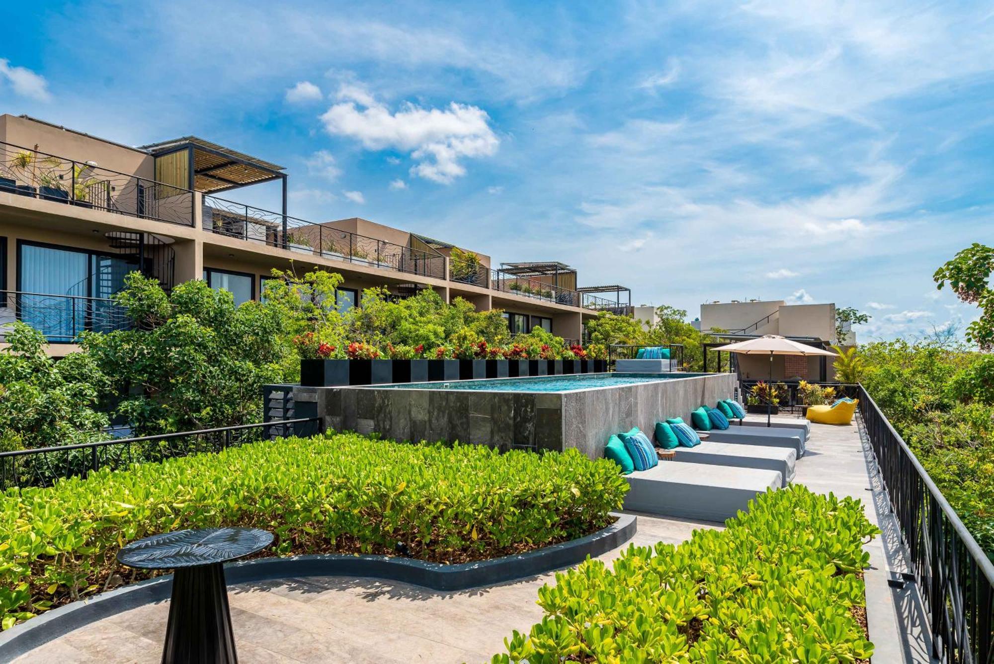 Arcadia Luxury In Aldea Zama, By Spot