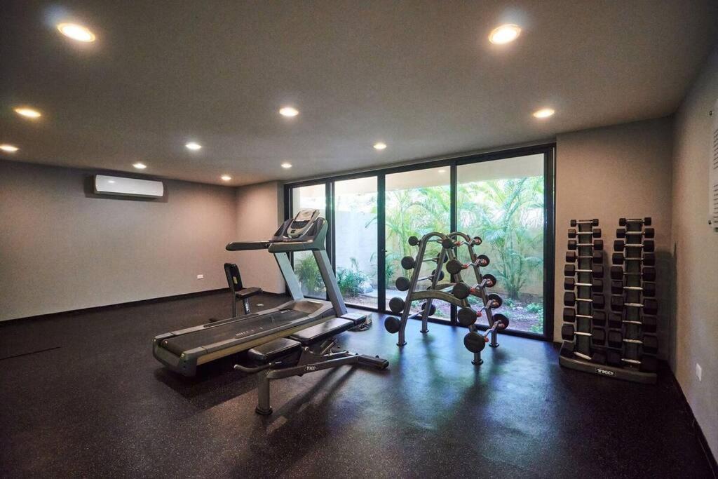 Zen Oasis Swim Up Pool W Tiki Hut Bar + Gym