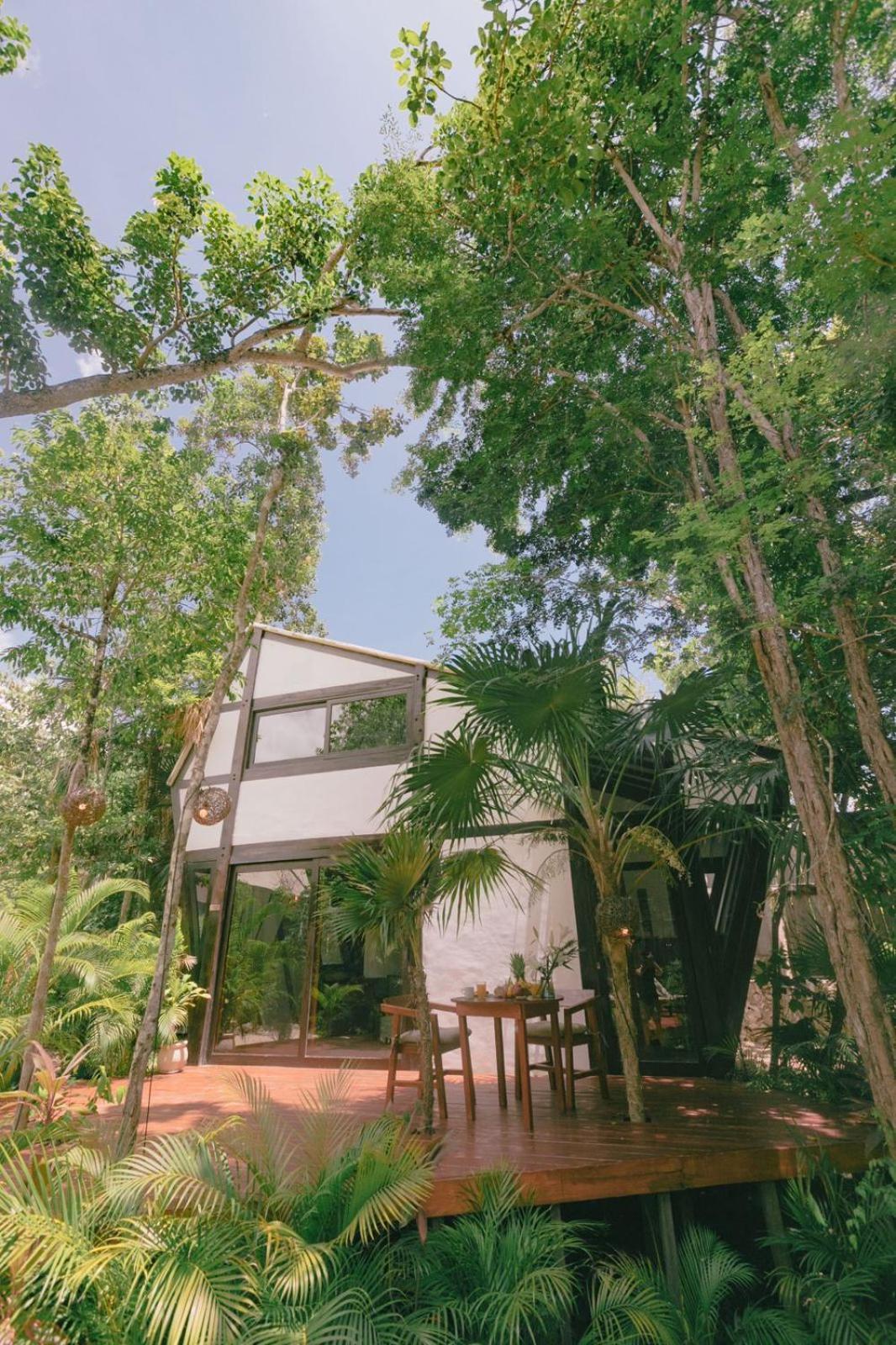 Alojamento Nahouse Jungle Tulum