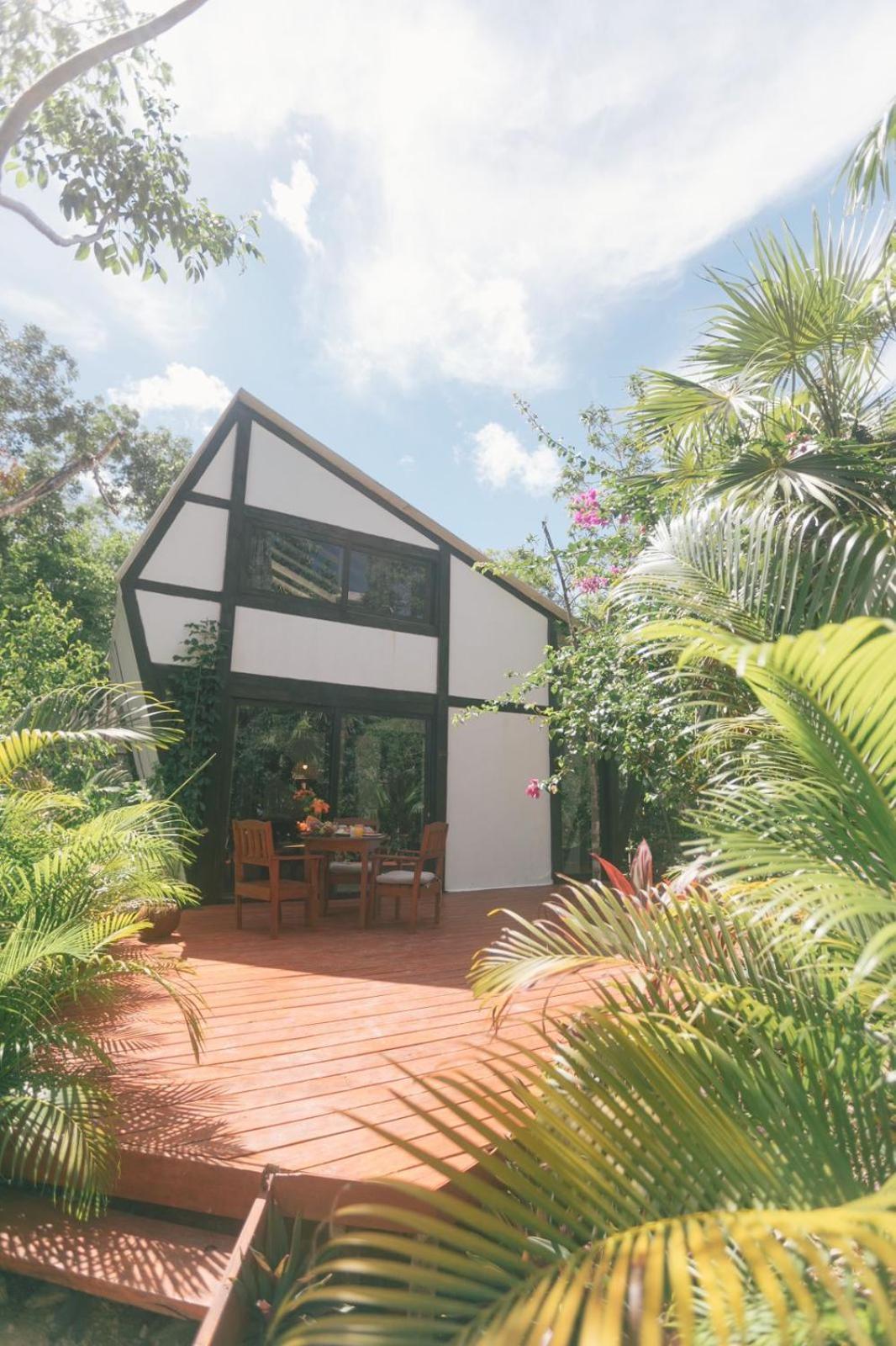 Alojamento Nahouse Jungle *