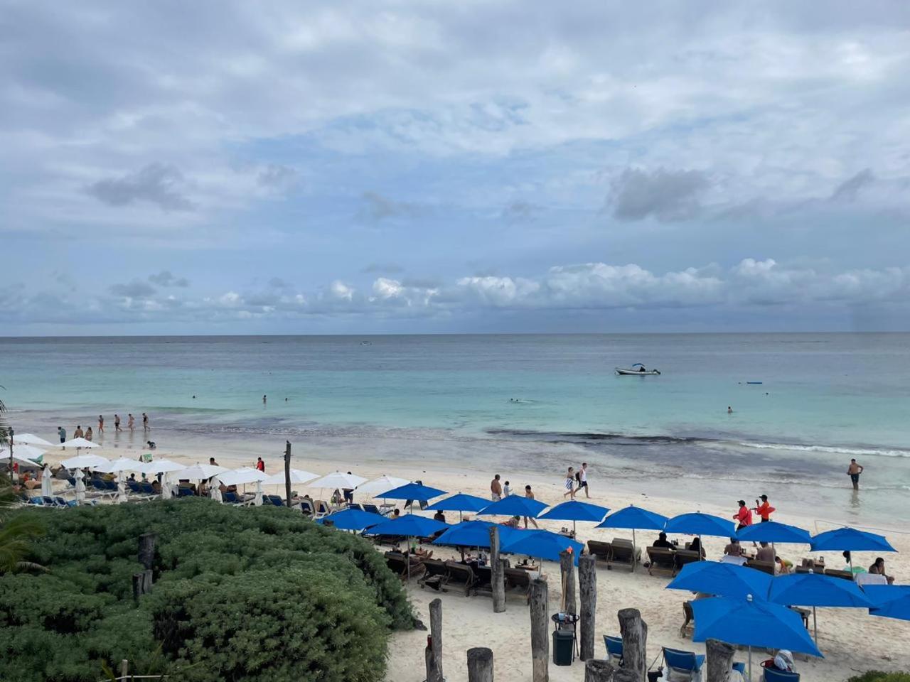 Campo de férias Playa Palmas