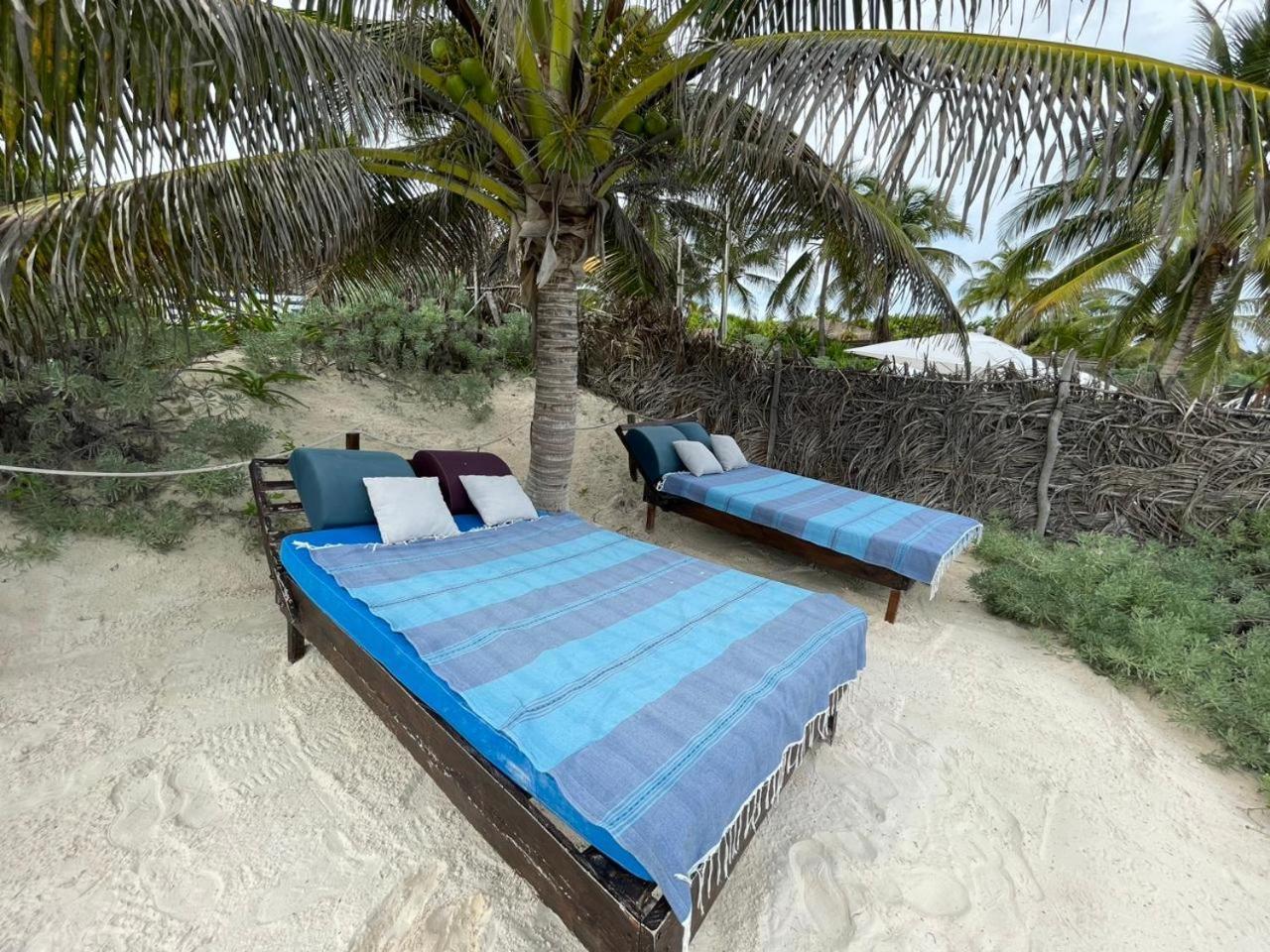 Campo de férias Playa Palmas *