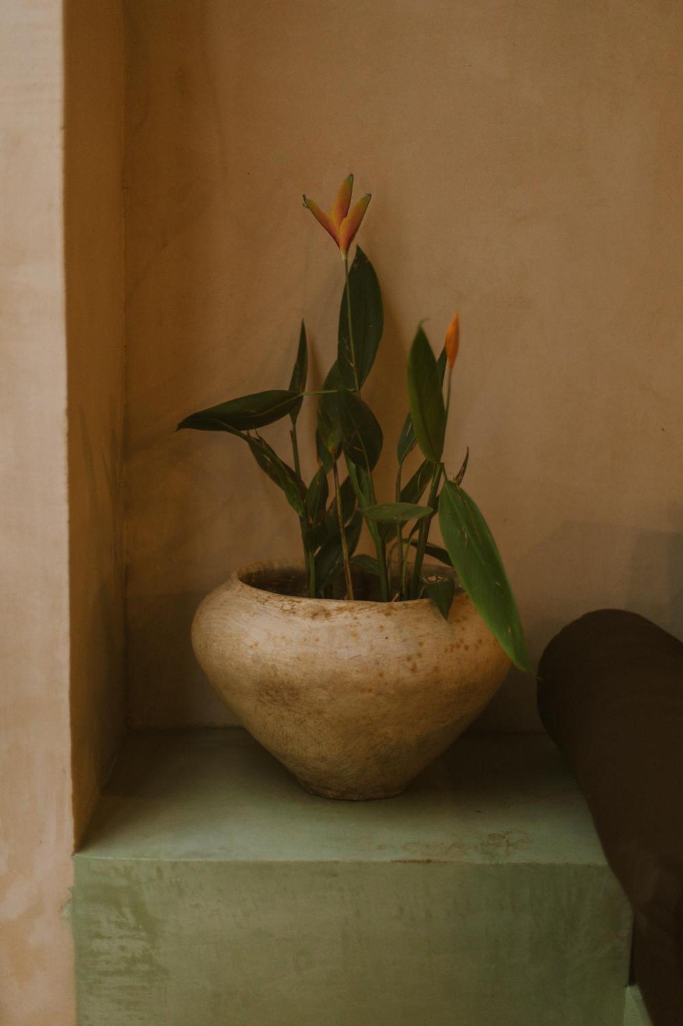 Gardenia Collective 4* Tulum