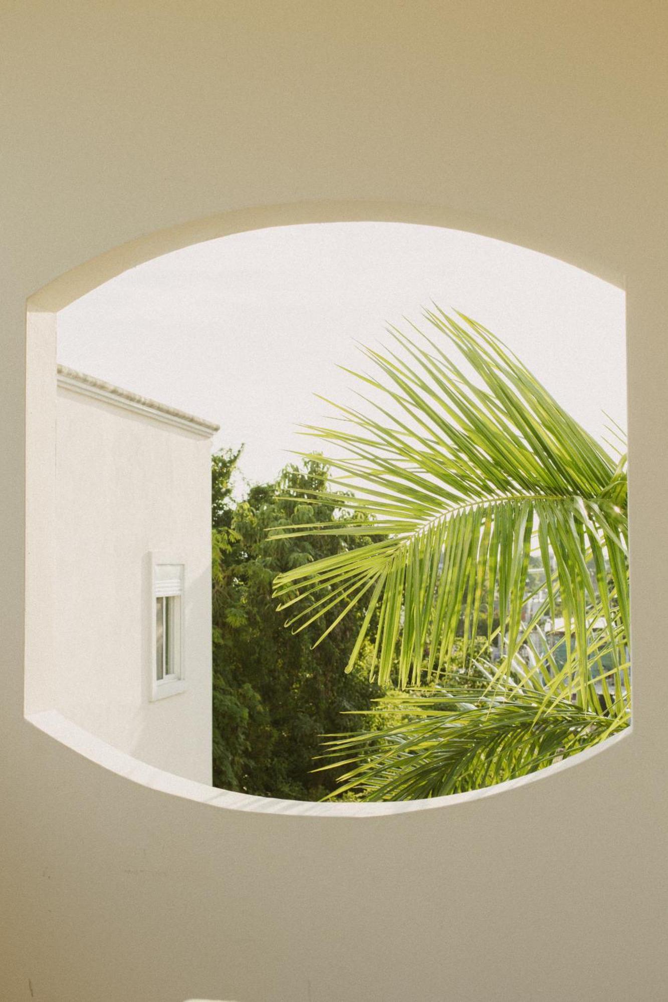 Gardenia Collective Hotel 4*