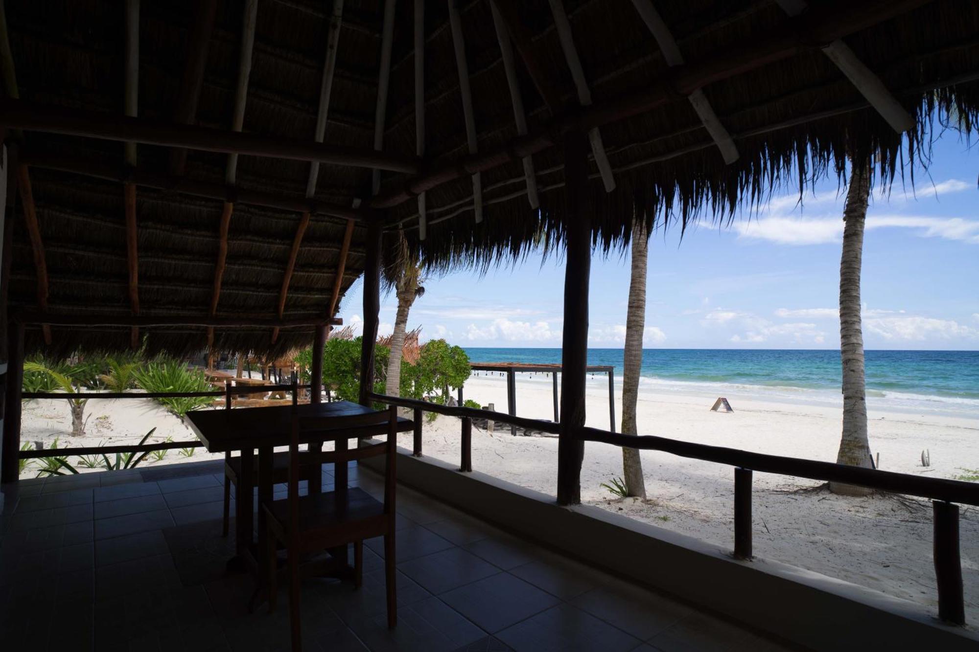 Hotel Bt Live Located At The Party Zone Tulum