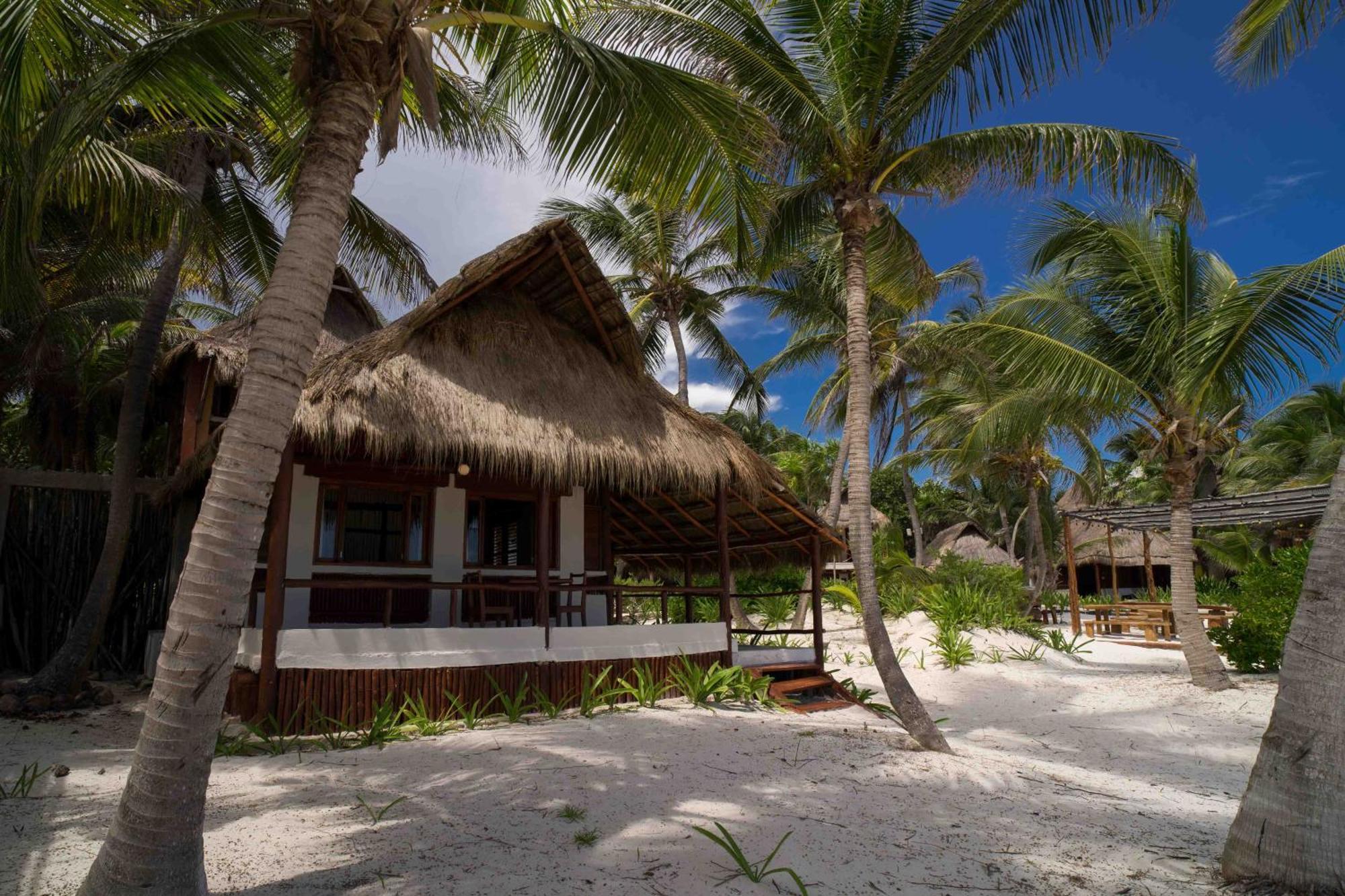 Hotel Bt Live Located At The Party Zone Tulum