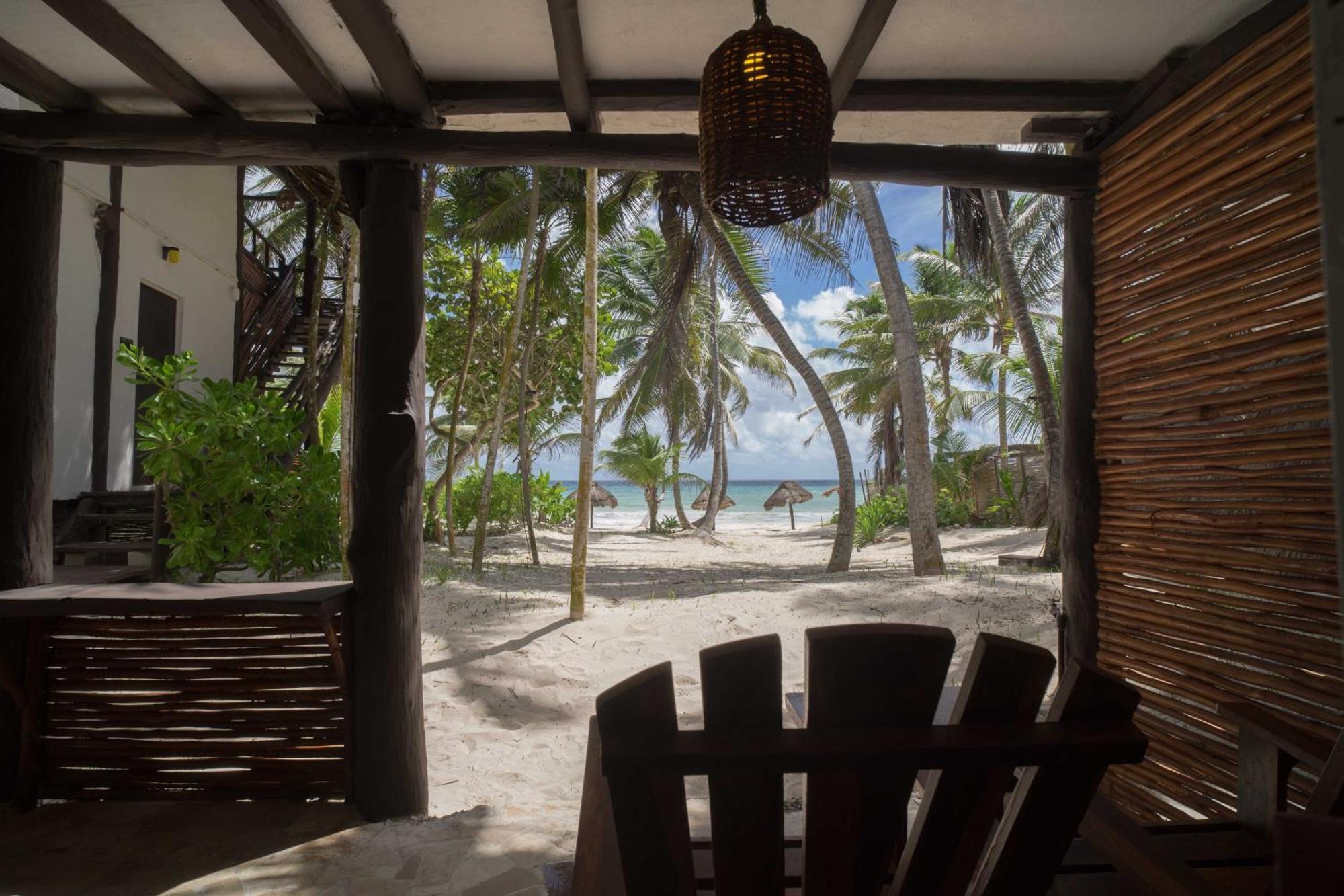 Bt Live Located At The Party Zone Tulum