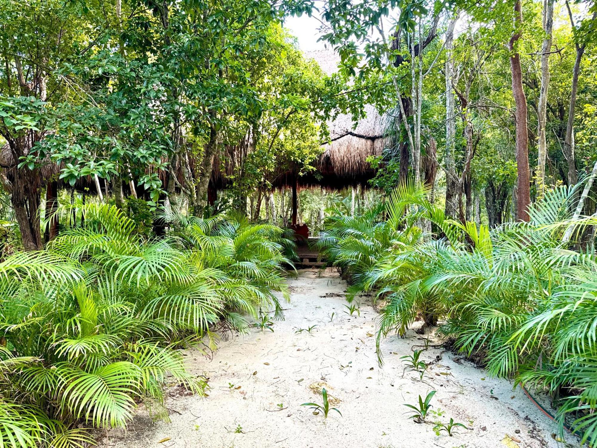 Glamping Bunga Lotus Tulum