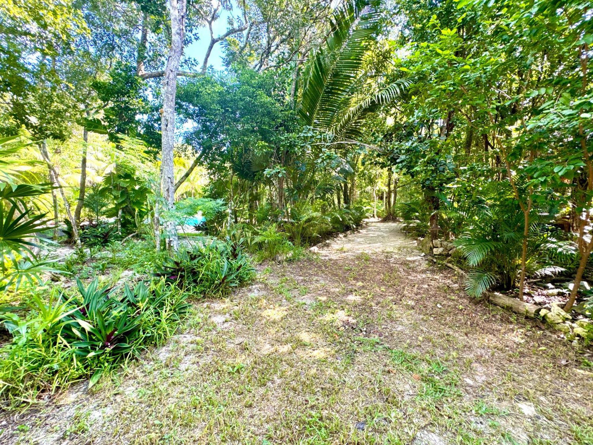 Glamping Bunga Lotus Campsite *