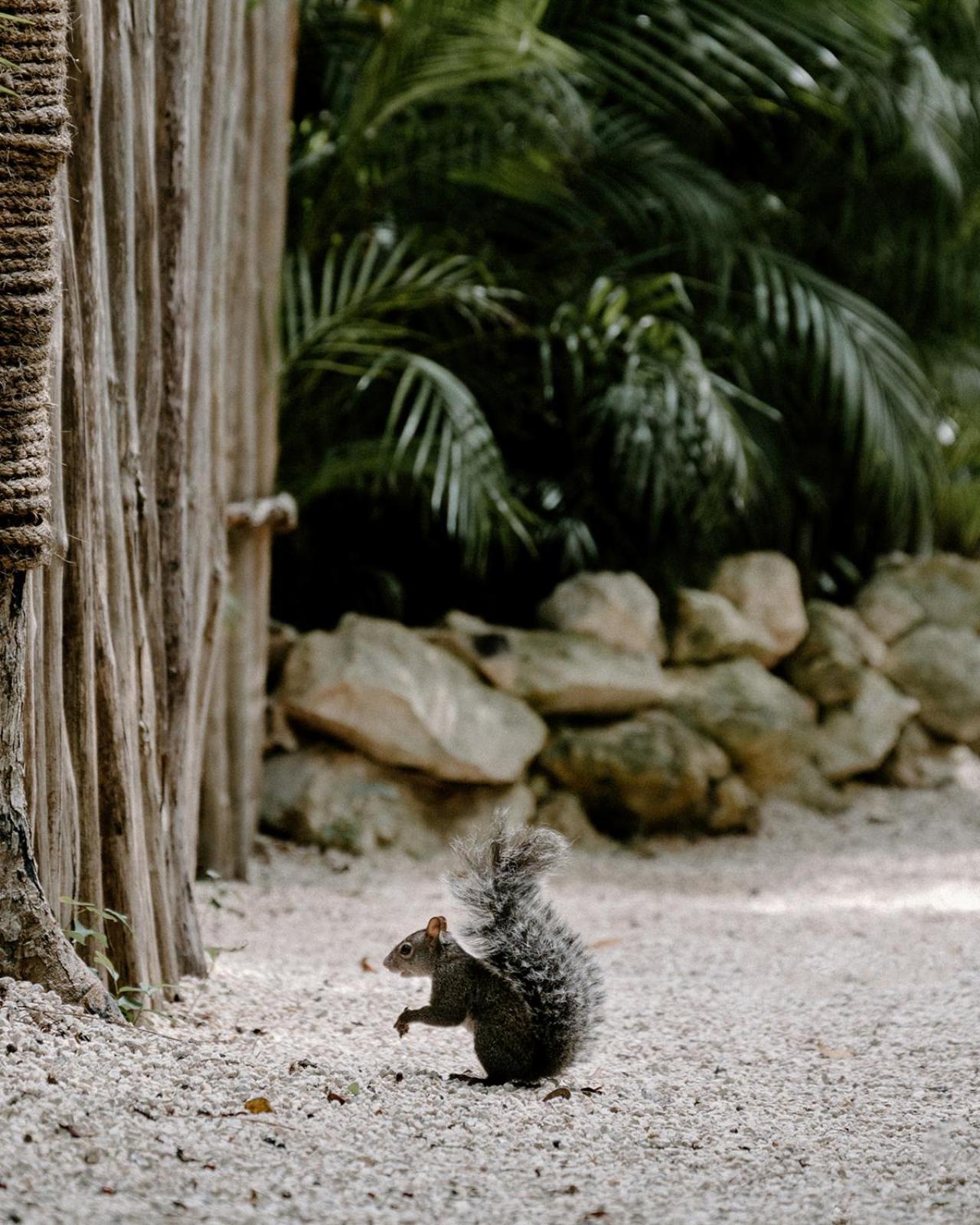 Bardo - Adults Only 5* Tulum