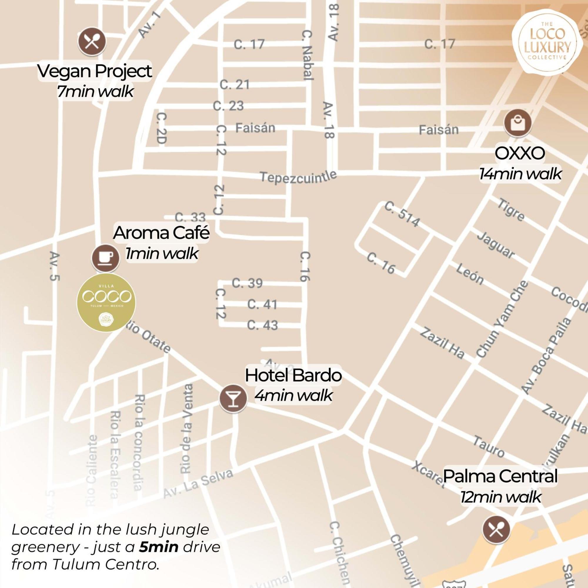 Hotel Jungle Vibes With Spectacular Design And Private Pool