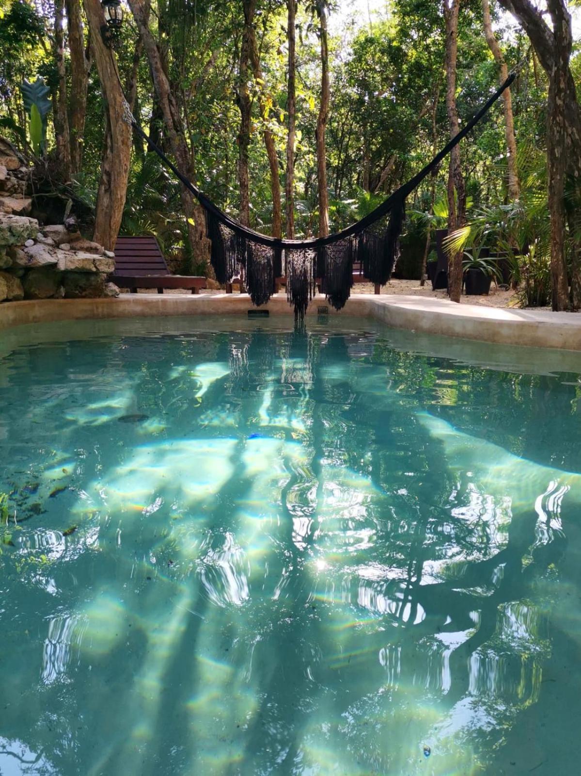 Apartment Agua & Selva Luxury Jungle Loft