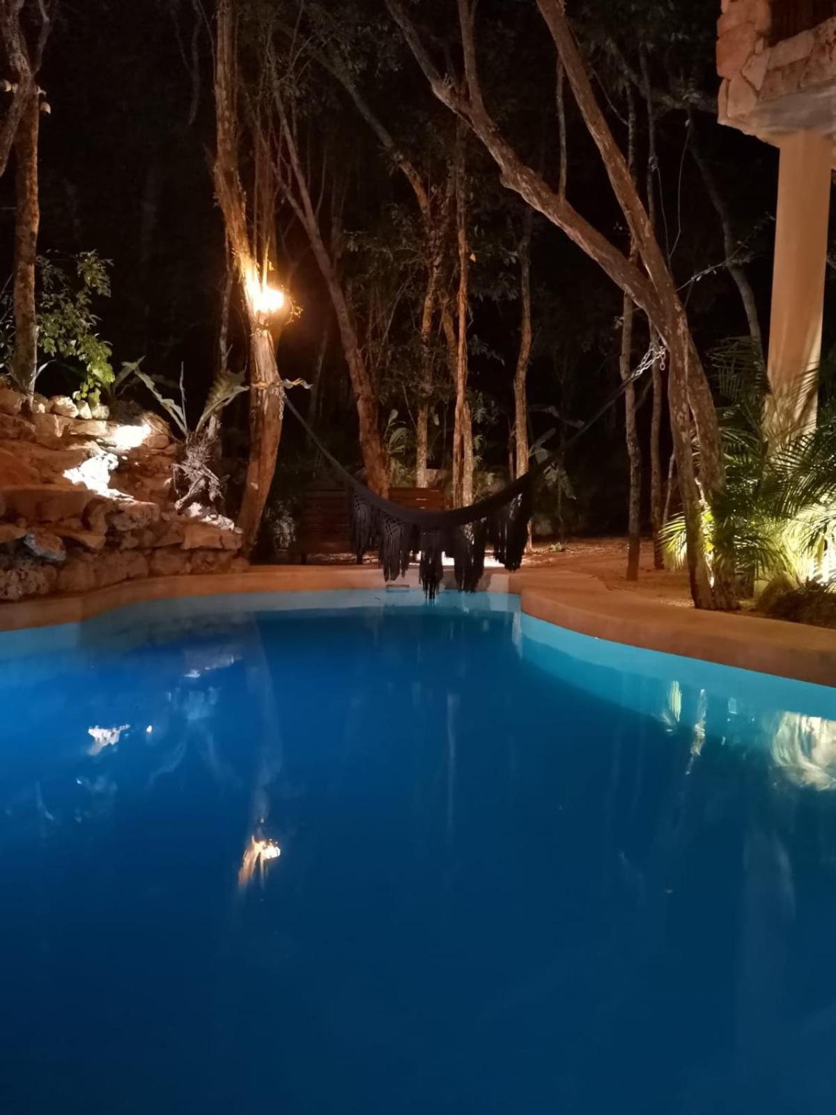 Agua & Selva Luxury Jungle Loft Apartment