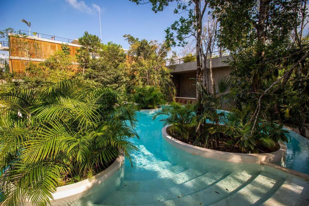 Apartment Cozy In The Jungle With Private Pool Plunge