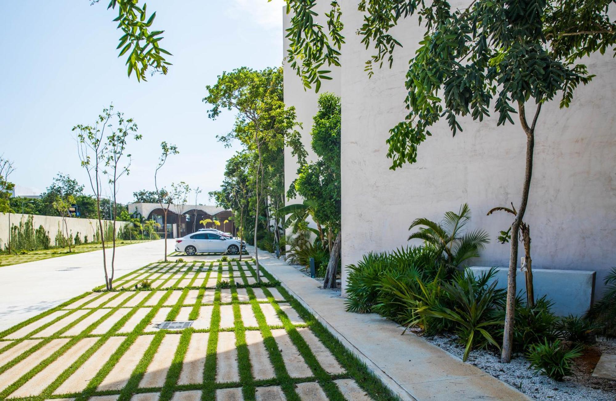 Ophelia Experience Tulum