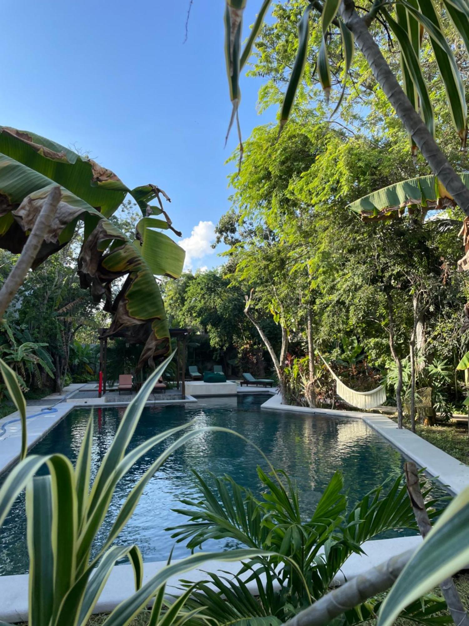 Panacea Aparthotel Tulum