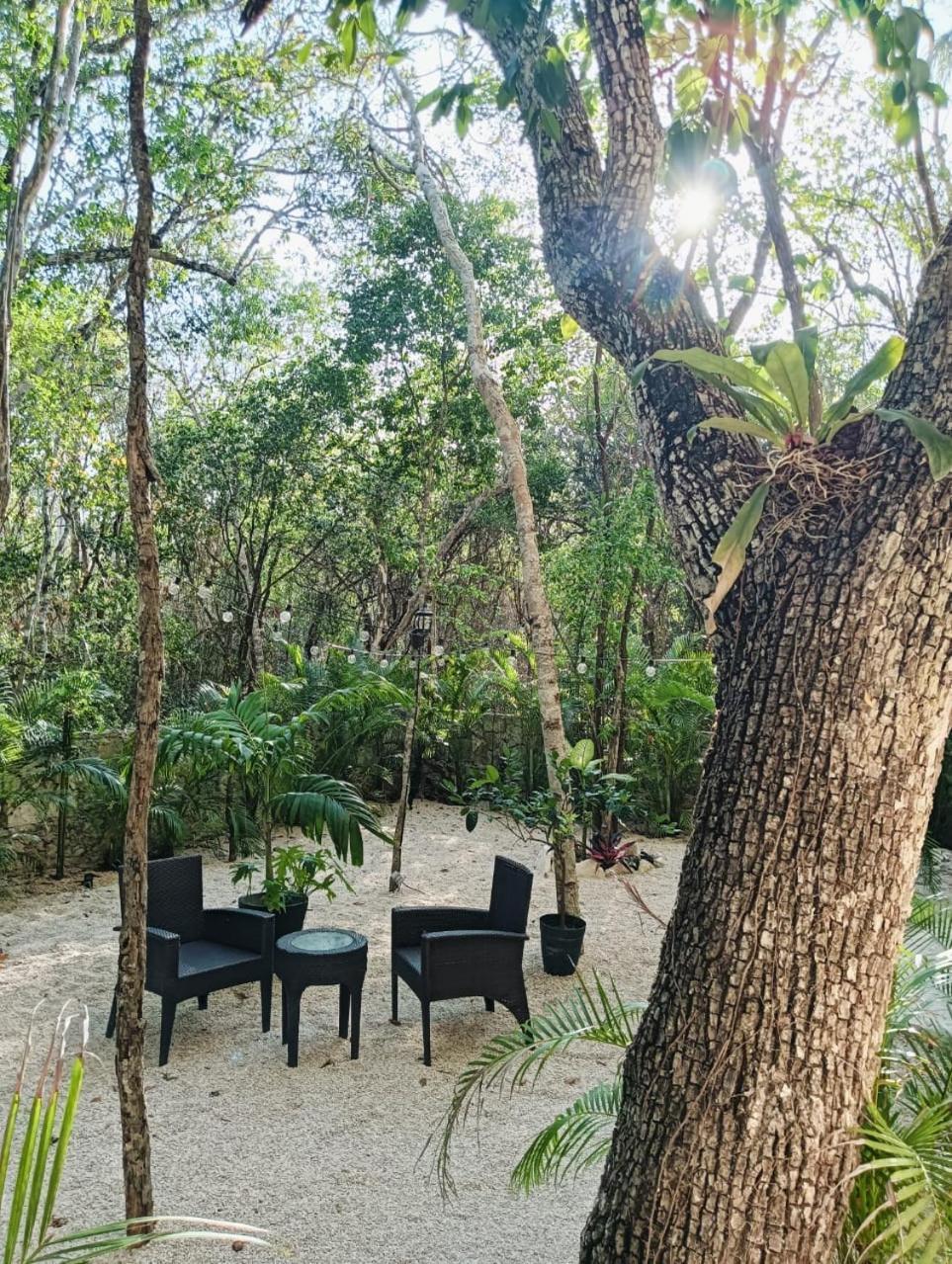 Apartment Agua & Selva Luxury Jungle Loft Tulum