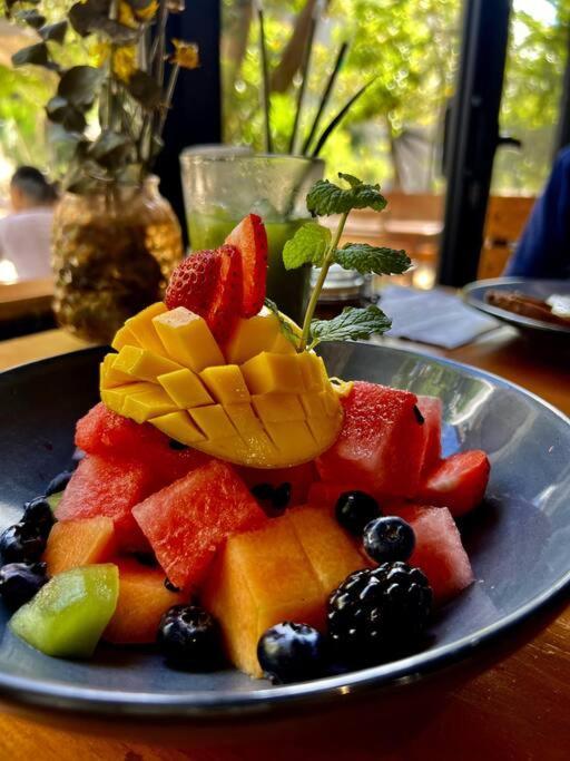 5 Star New Luxury With Cenote And Infinity Pool Apartment Tulum