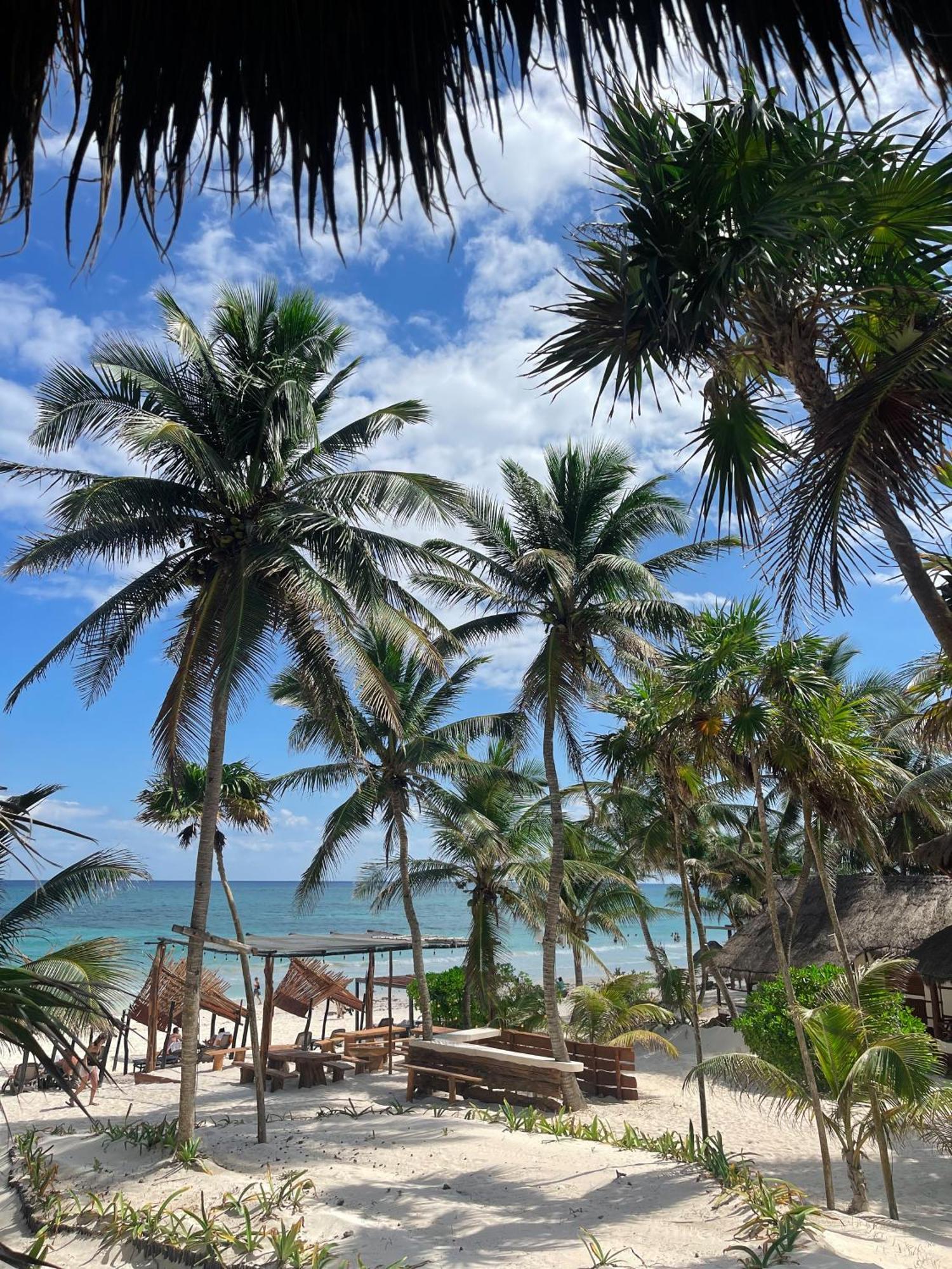 Hotel Bt Live Located At The Party Zone 4*