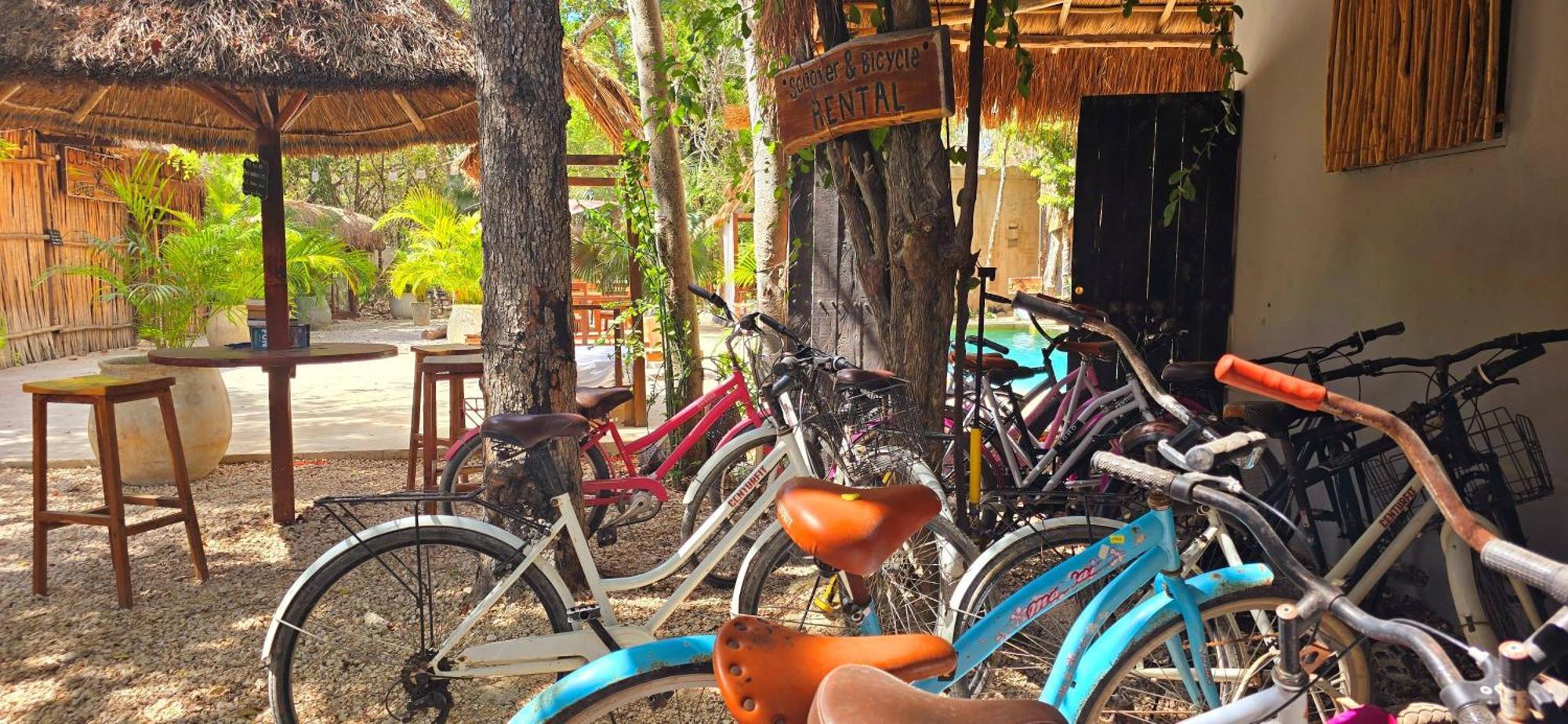 Guest house Kin Jungle Deluxe