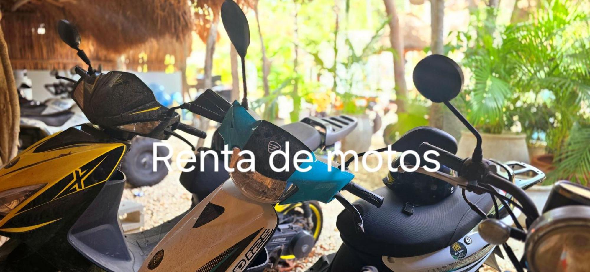 Kin Jungle Deluxe Guest house Tulum