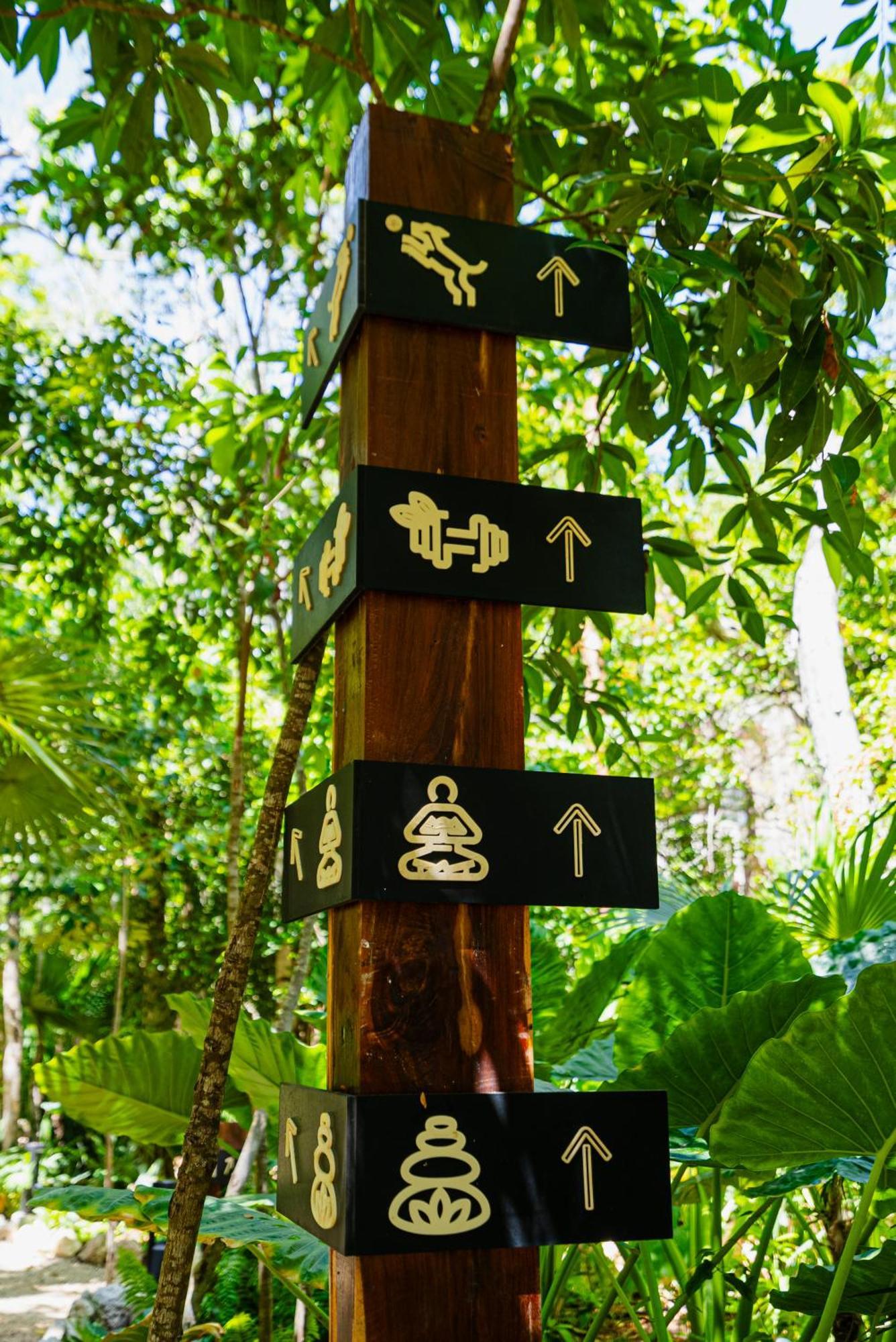 Apartment Penthouse With Private Jungle, Pool, Downtown *