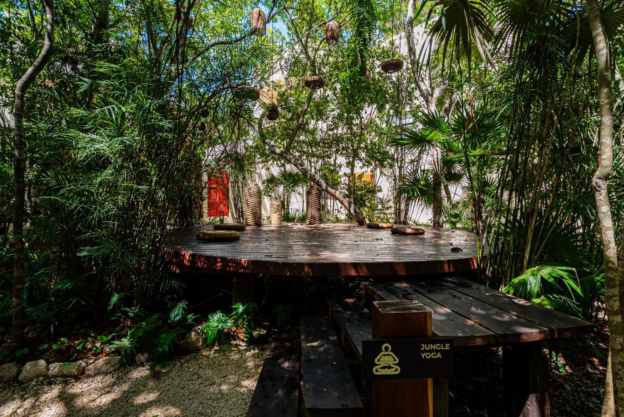 Penthouse With Private Jungle, Pool, Downtown Apartment *