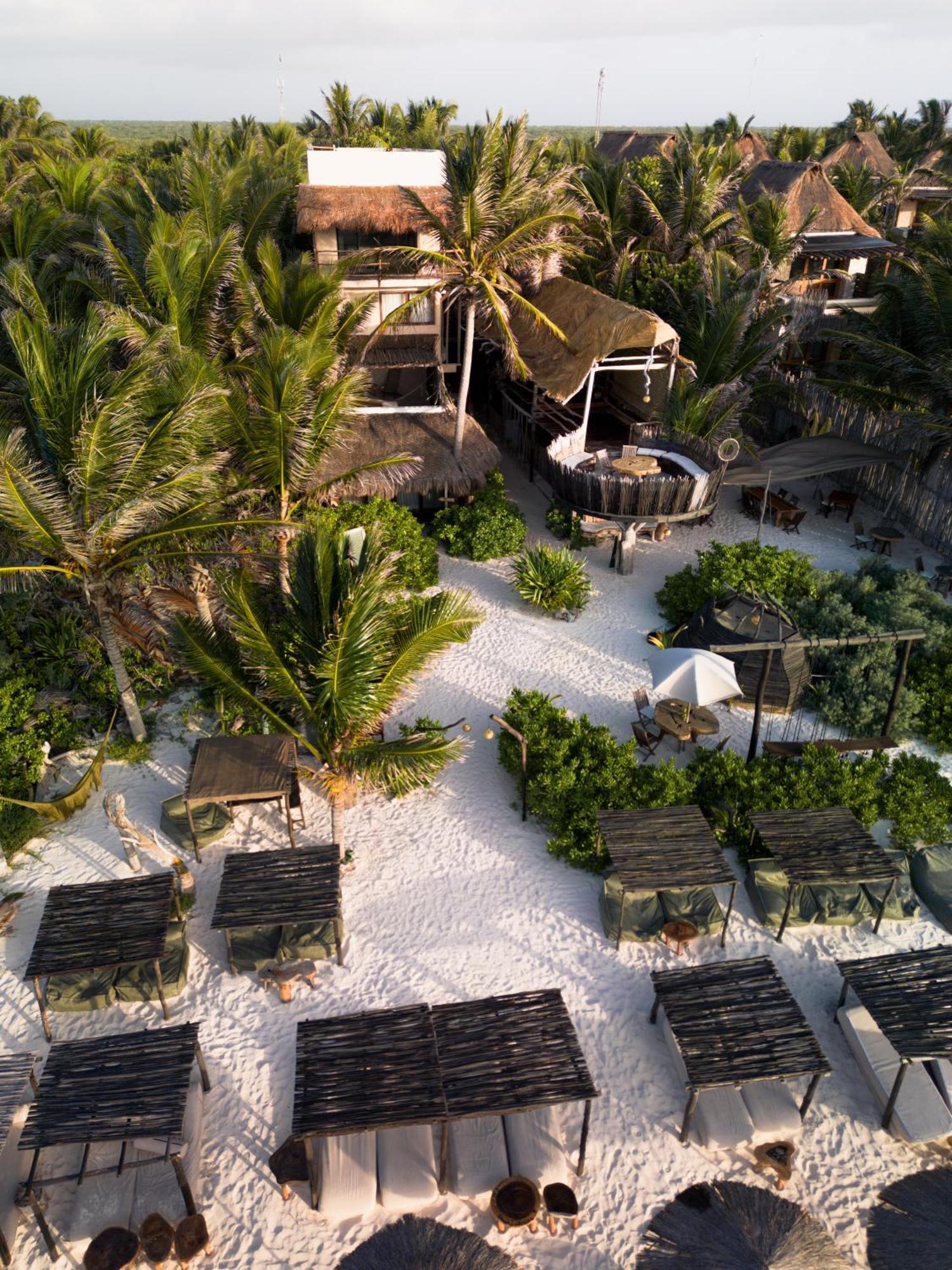 Orchid House (adults Only) Hotel Tulum