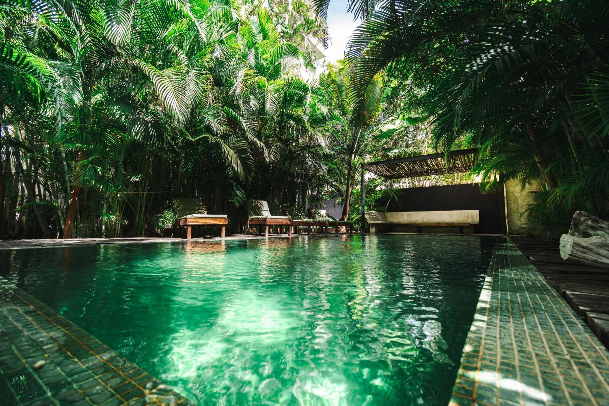 Tranquil 1-bedroom Oasis In Veleta, Apartment