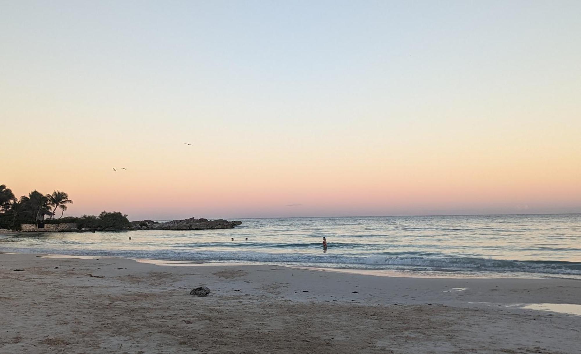 Tranquil 1-bedroom Oasis In Veleta, Tulum